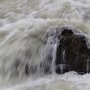 Au plus fort du printemps, au plus fort de la vie et du vacarme, je garderai la tête hors de l'eau.